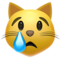Apple U+1F63F