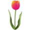 EmojiDex U+1F337