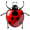 EmojiDex U+1F41E