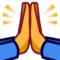 EmojiDex U+1F64F