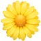 Facebook U+1F33C