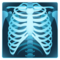 JoyPixels U+1FA7B