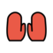 OpenMoji U+1F9E4