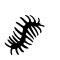 Symbola U+1F41B
