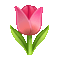 Telegram U+1F337