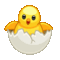Telegram U+1F423