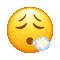 Telegram U+1F62E-U+200D-U+1F4A8