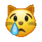 Telegram U+1F63F