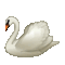 Telegram U+1F9A2