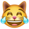 WhatsApp U+1F639